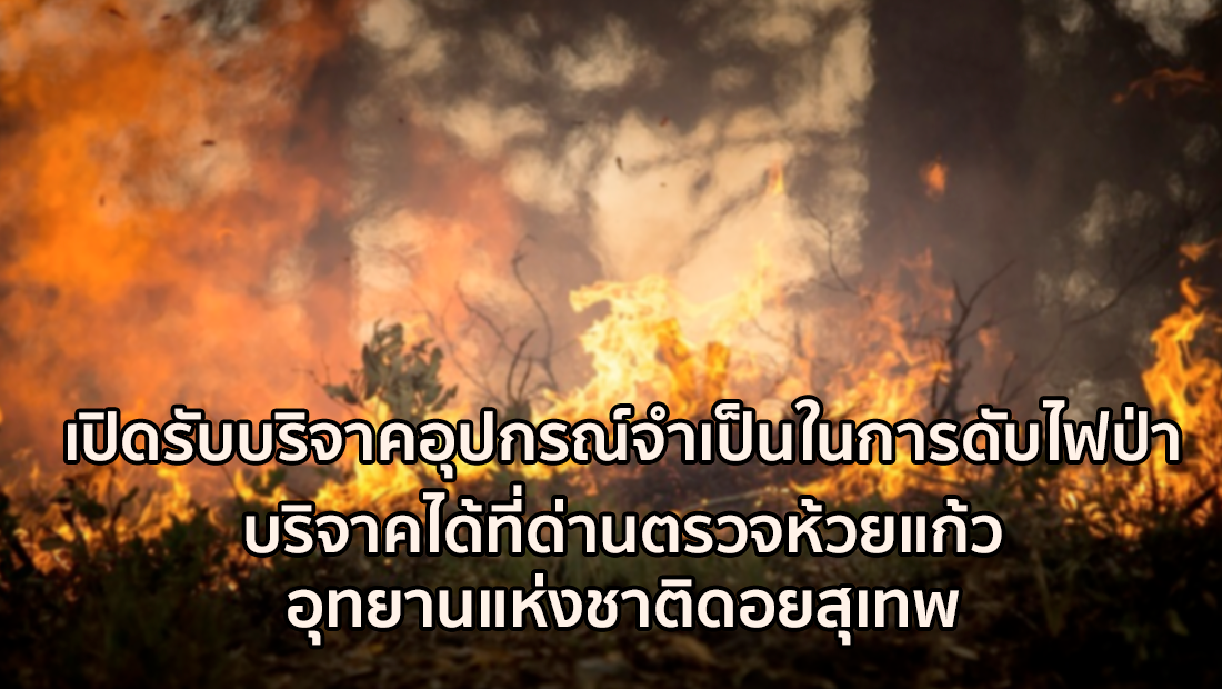 Website เปลียนรูป 31