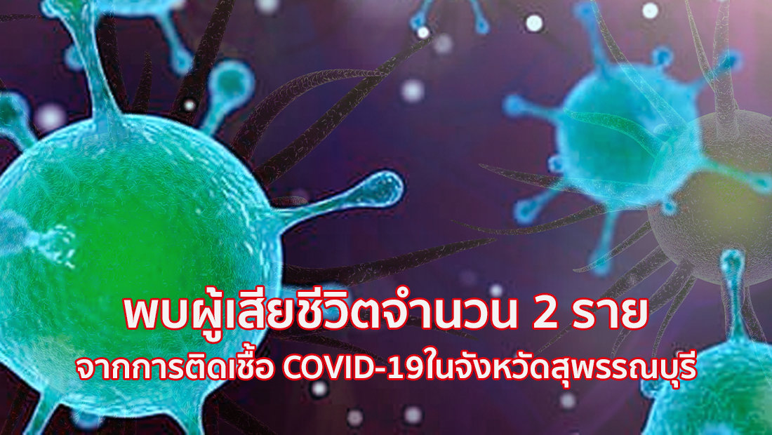 website เปลี่ยนรูป ภาพสี 17