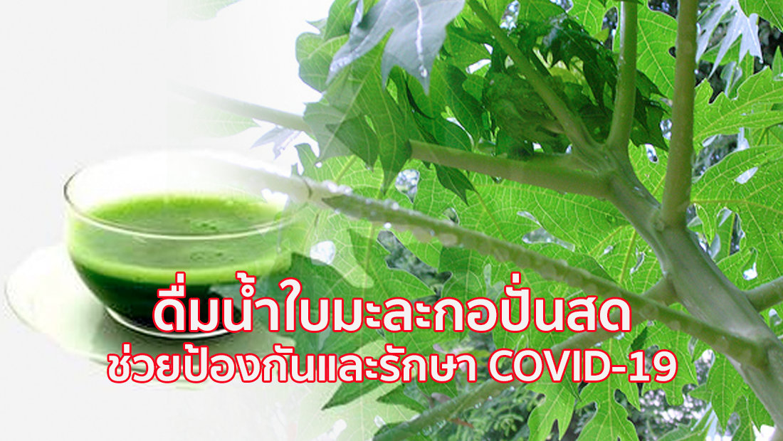 website เปลี่ยนรูป ภาพสี 29