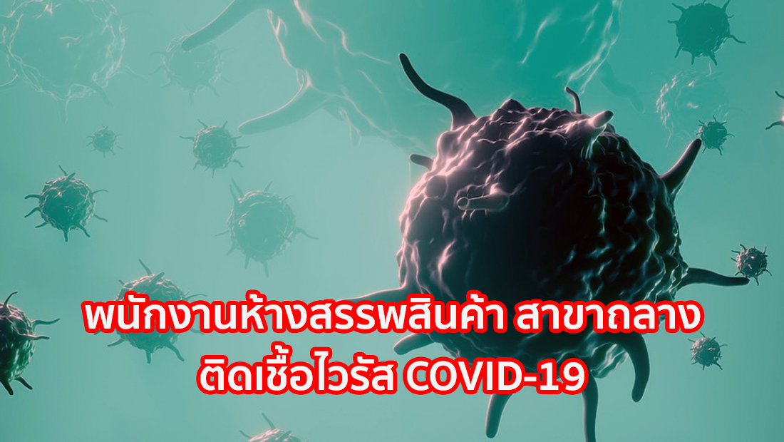 website เปลี่ยนรูป ภาพสี