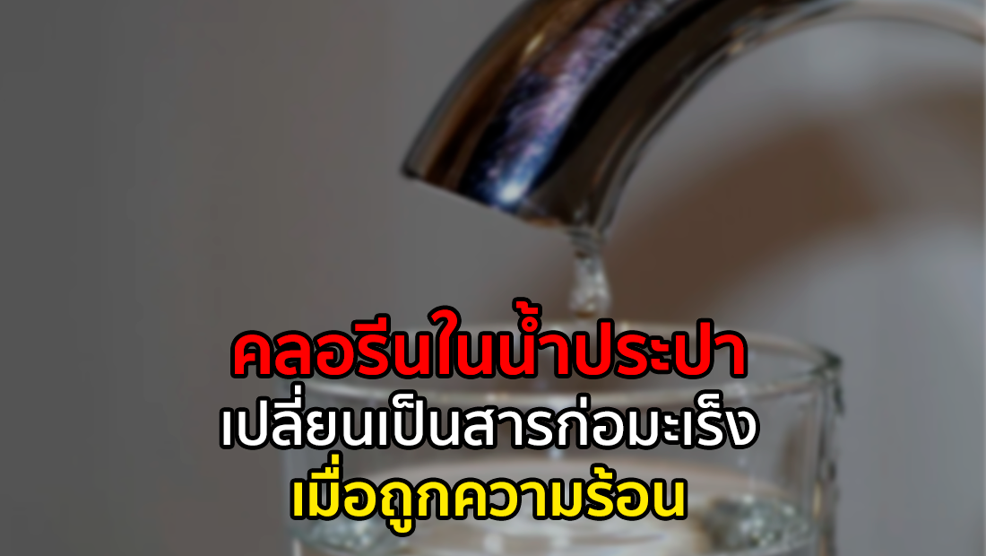 Website เปลียนรูป 31