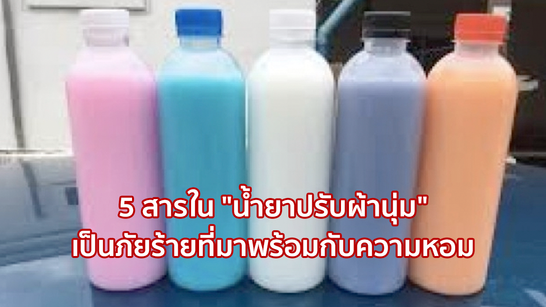 Website เปลียนรูป 33