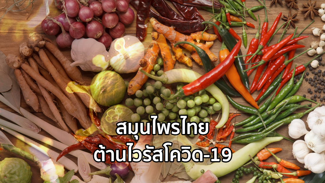 Website เปลียนรูป 44