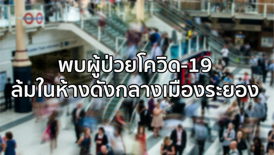 Website เปลียนรูป 14