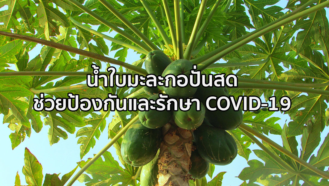 Website เปลียนรูป 4 3