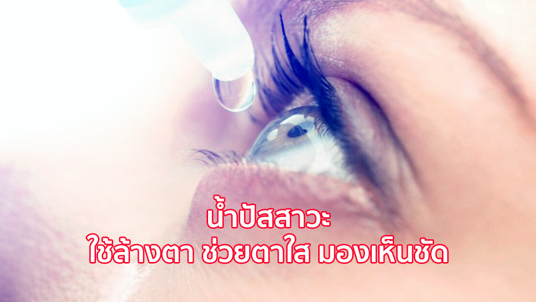 website เปลี่ยนรูป ภาพสี 4