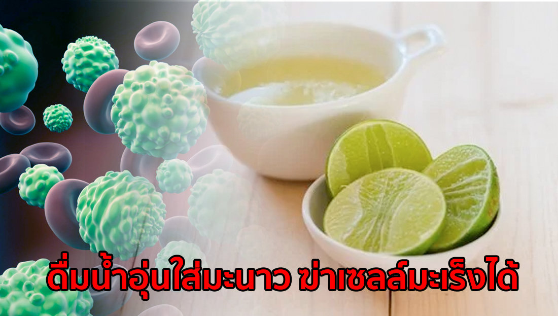 Website เปลียนรูป 10