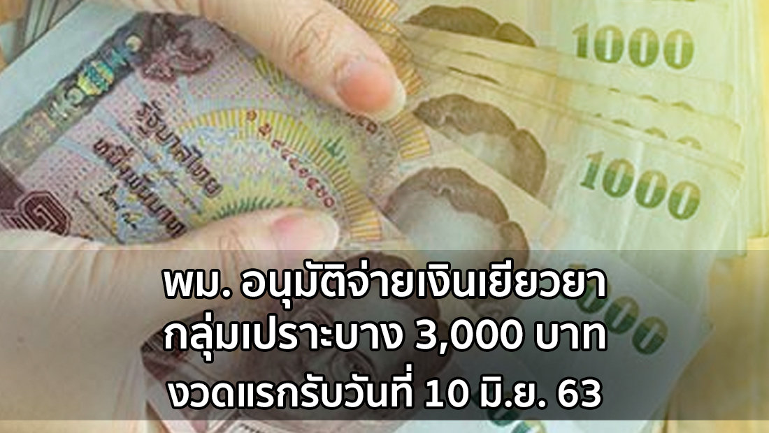Website เปลียนรูป 11 2