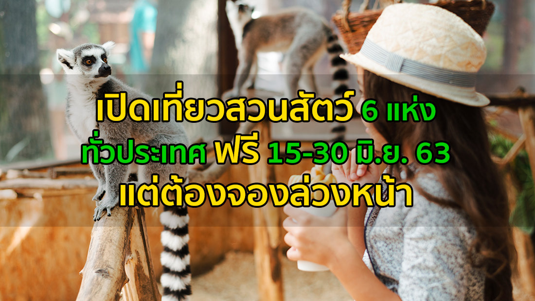 Website เปลียนรูป 14 1