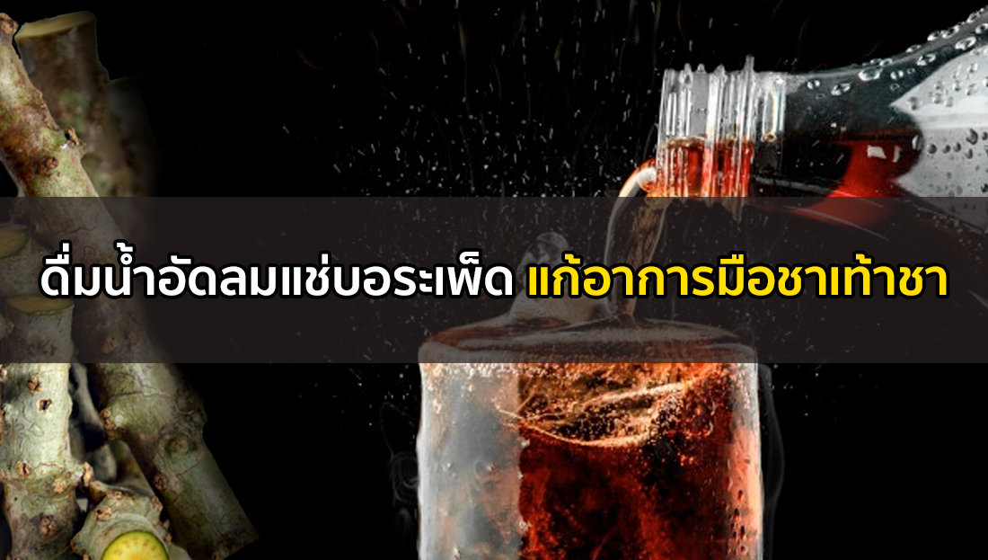 Website เปลียนรูป 13 2