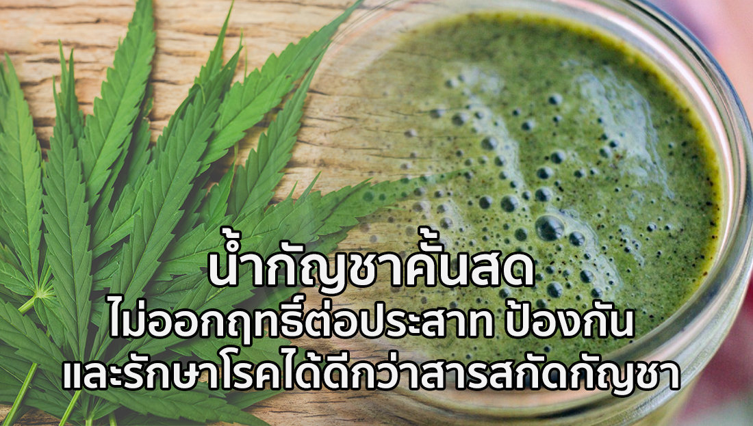 Website เปลียนรูป 14 1