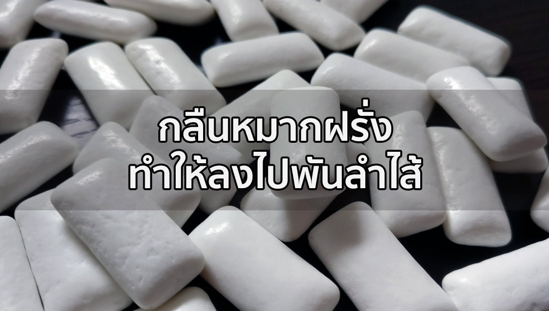 Website เปลียนรูป 19 1