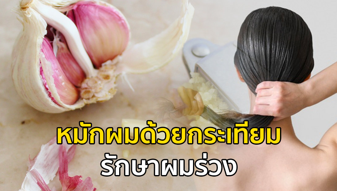 Website เปลียนรูป 24 1