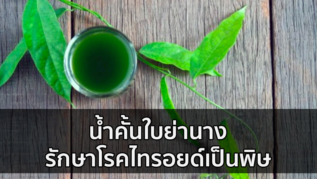 Website เปลียนรูป 30