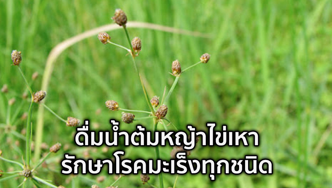 Website เปลียนรูป 4