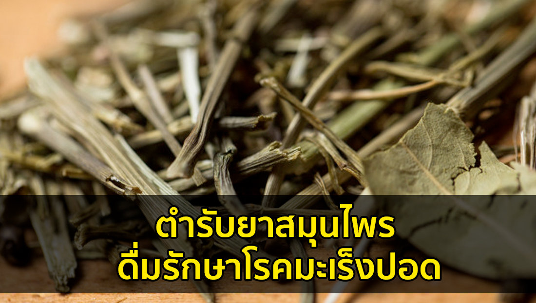 Website เปลียนรูป 7