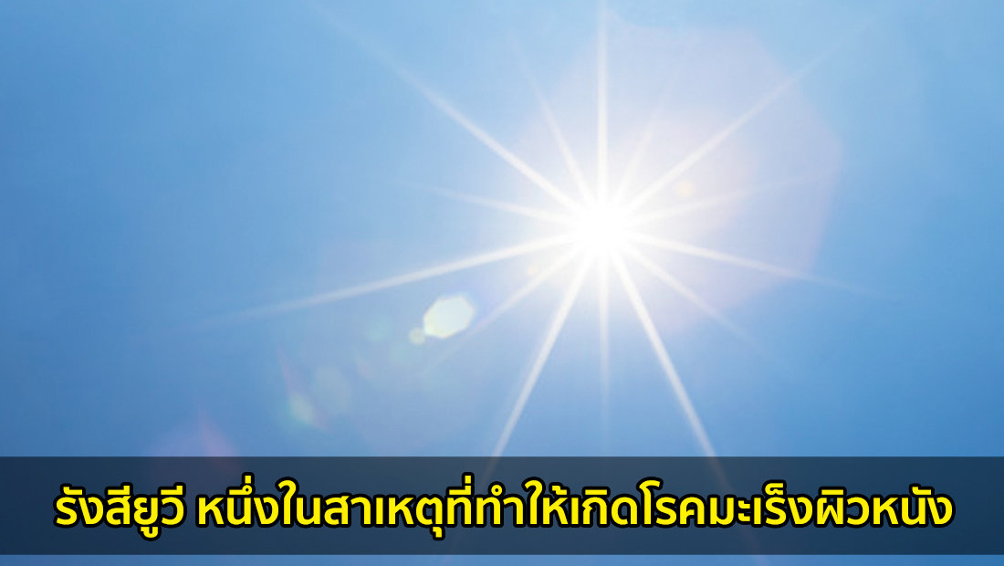 Website เปลียนรูป 1