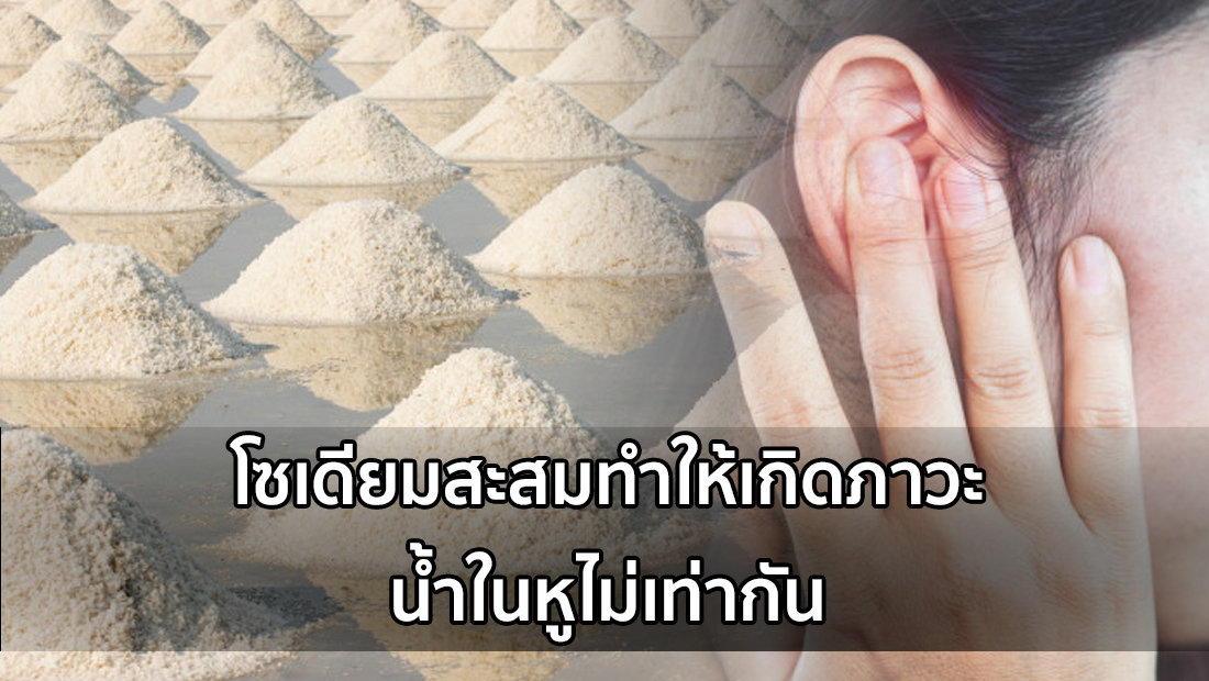 Website เปลียนรูป 13