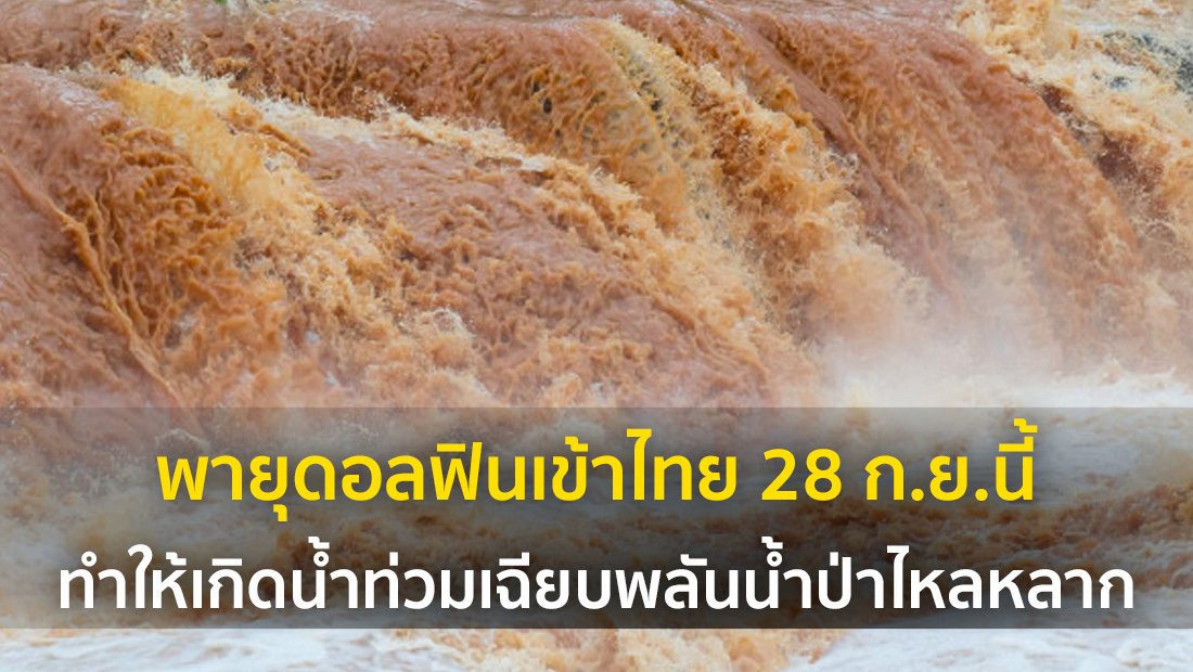 Website เปลียนรูป 44