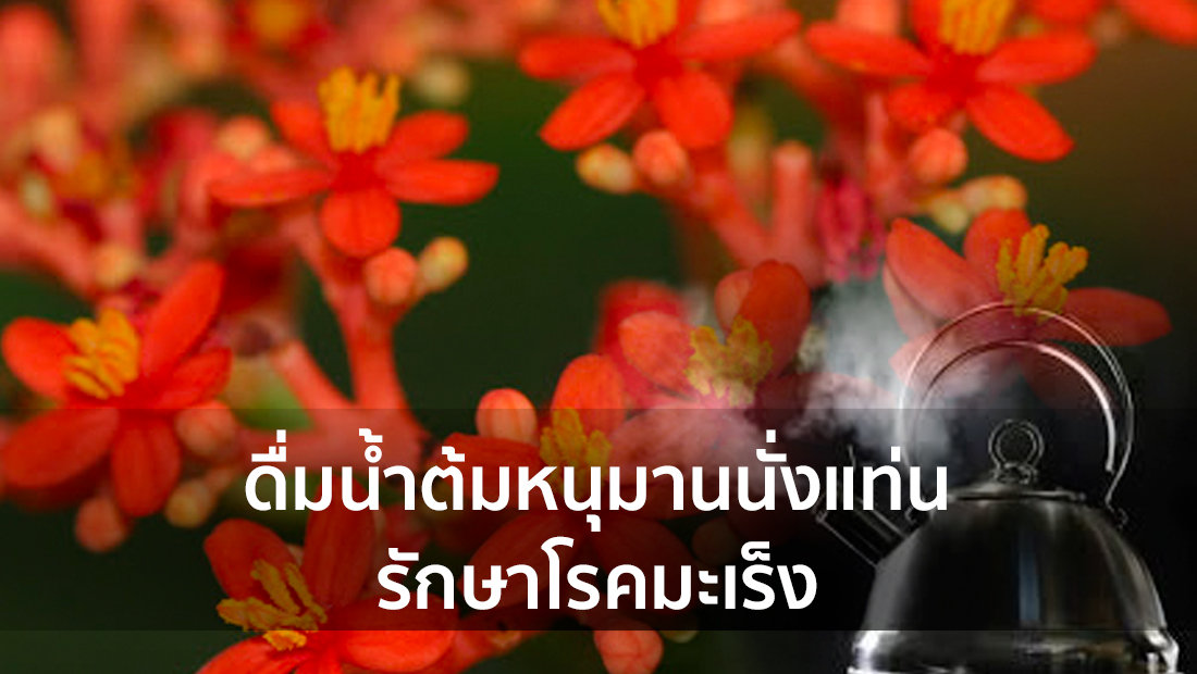 Website เปลียนรูป 6