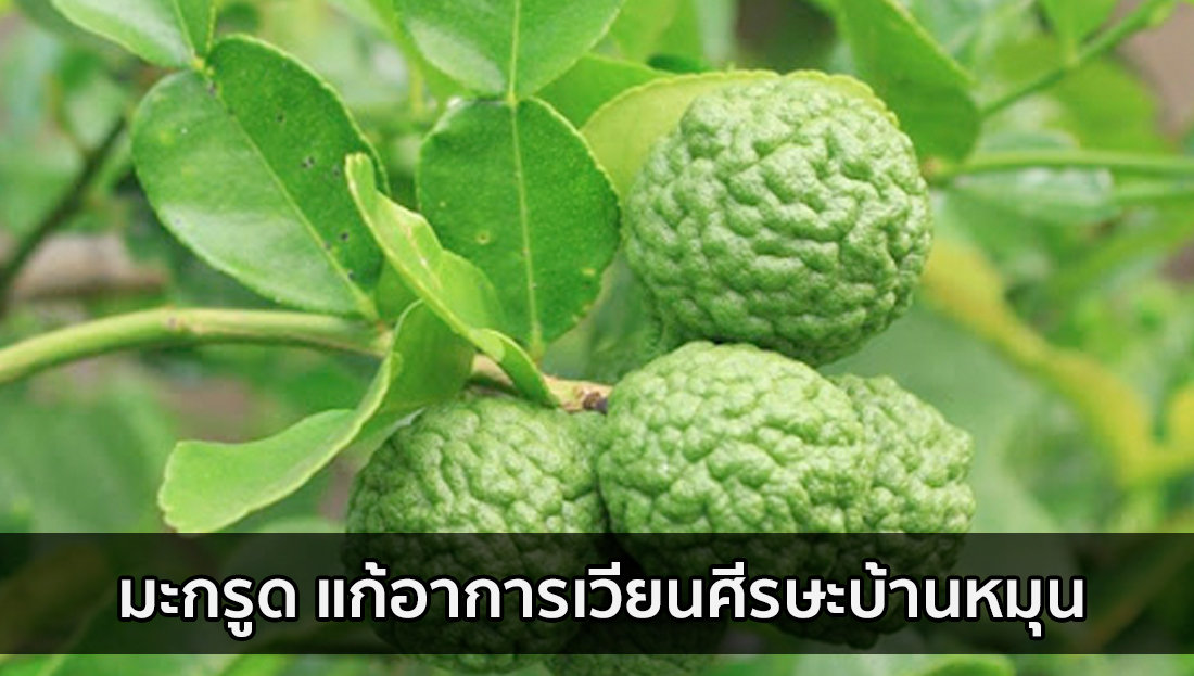 Website เปลียนรูป 11