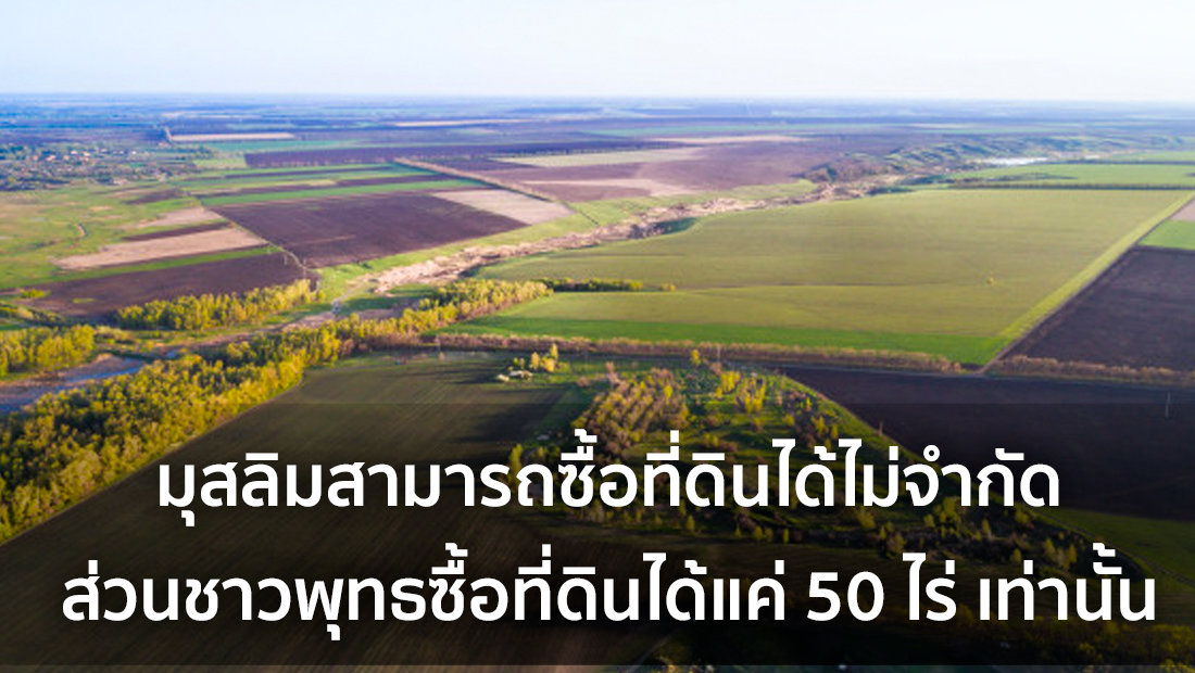 Website เปลียนรูป 14