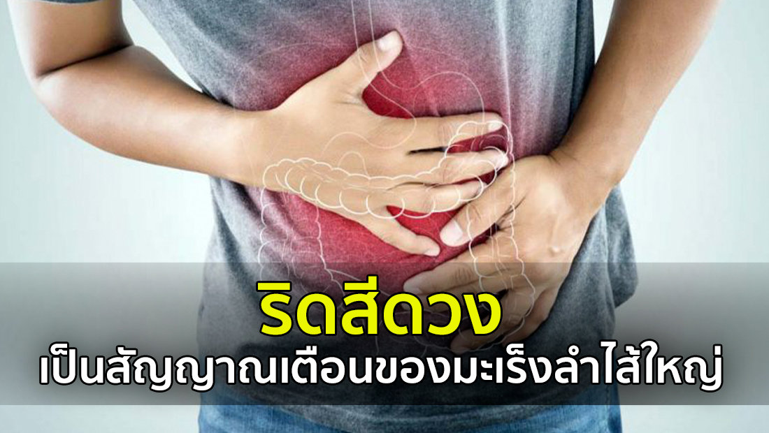 Website เปลียนรูป 16