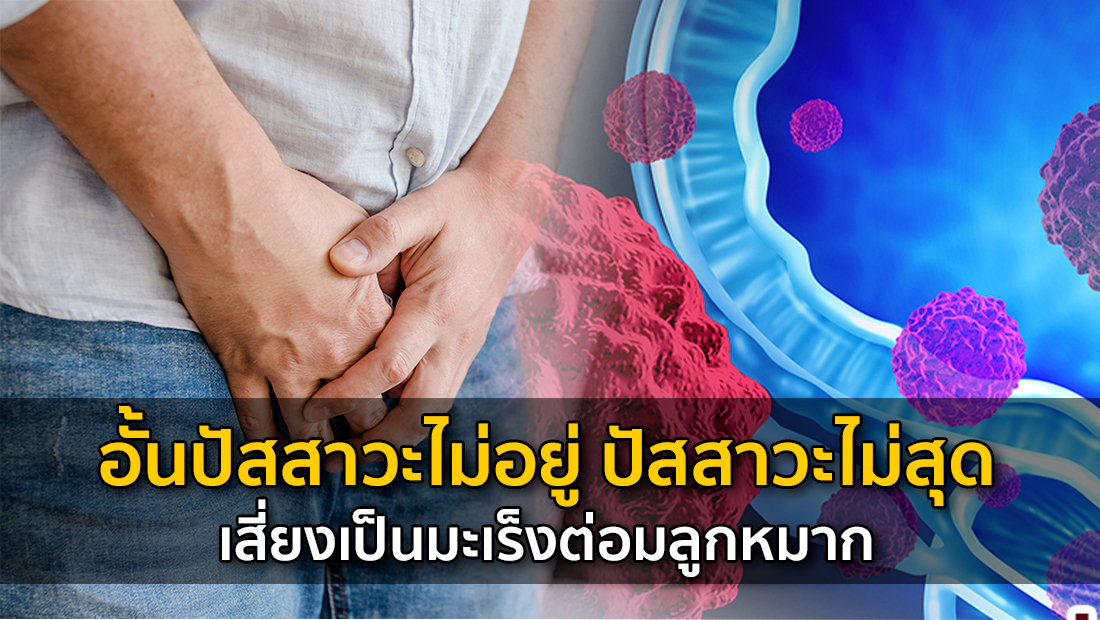 Website เปลียนรูป 18