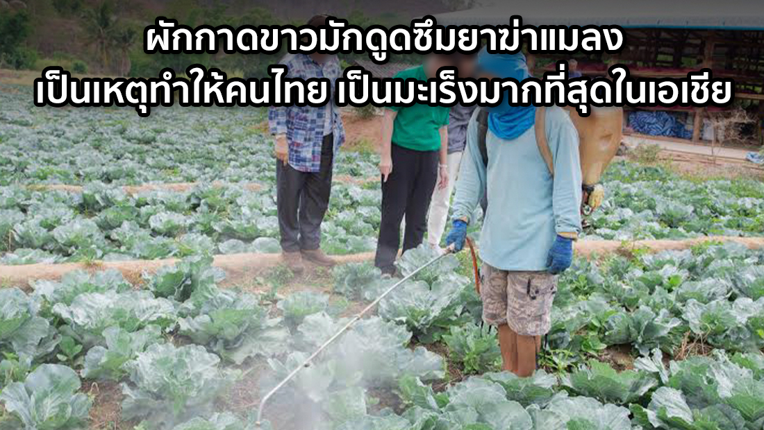 Website เปลียนรูป 4