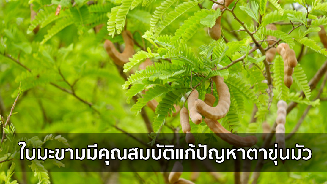 Website เปลียนรูป 4