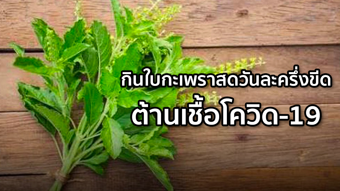 Website เปลียนรูป 31