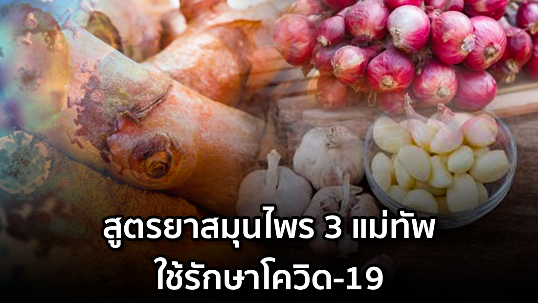 Website เปลียนรูป 35