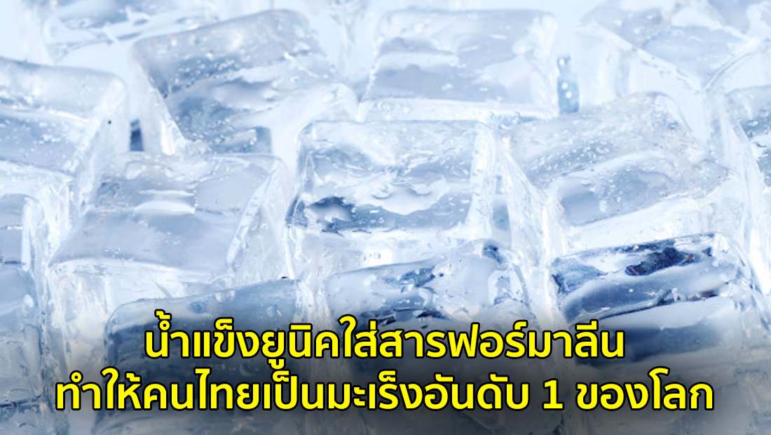 Website เปลียนรูป 13