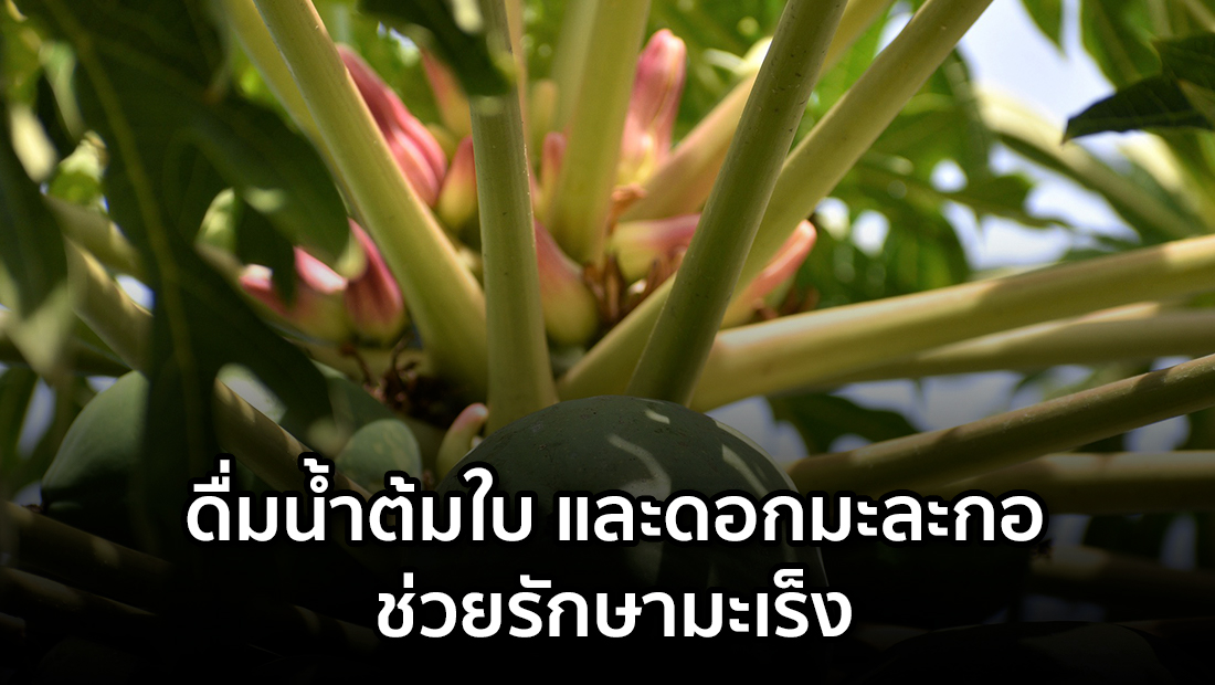 Website เปลียนรูป 28