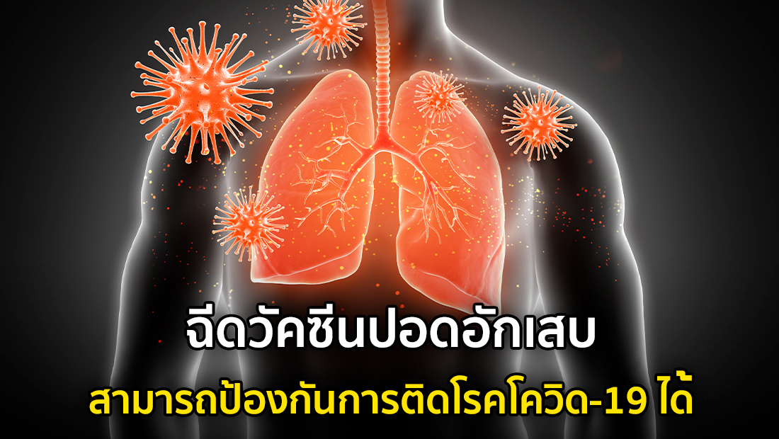 Website เปลียนรูป 55