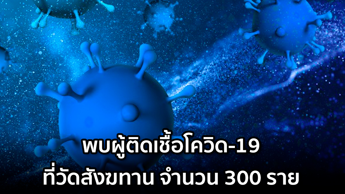 Website เปลียนรูป 33