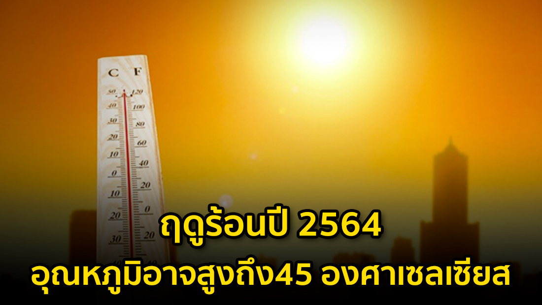 Website เปลียนรูป 40