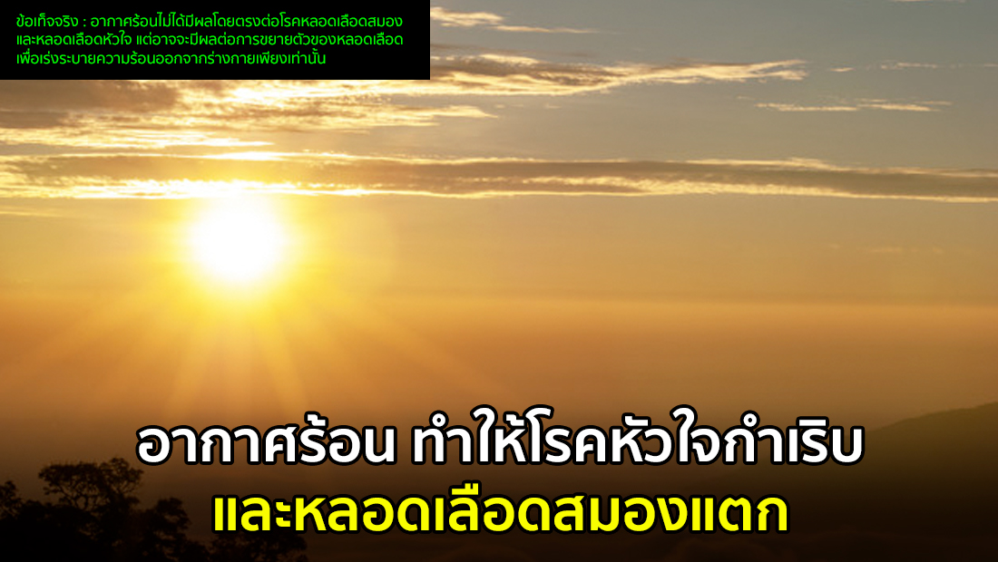 Website เปลียนรูป 13