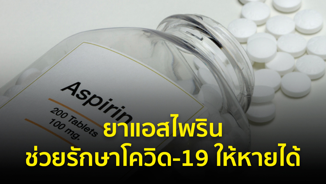 Website เปลียนรูป 44