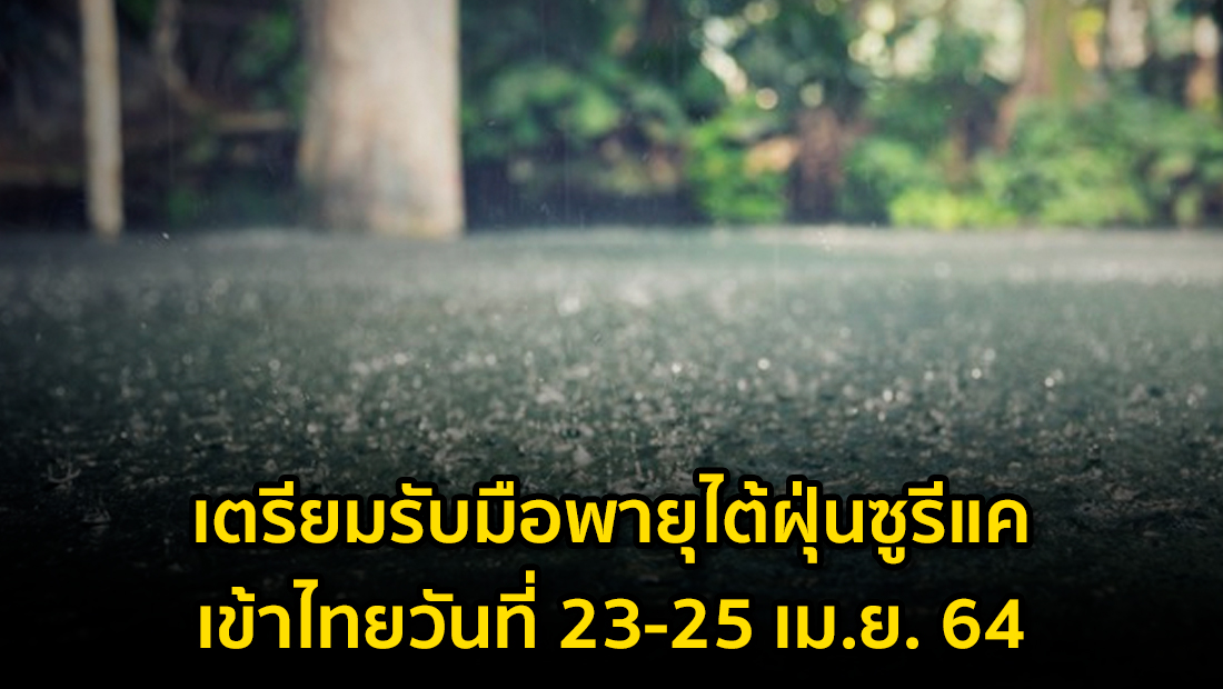 Website เปลียนรูป 50