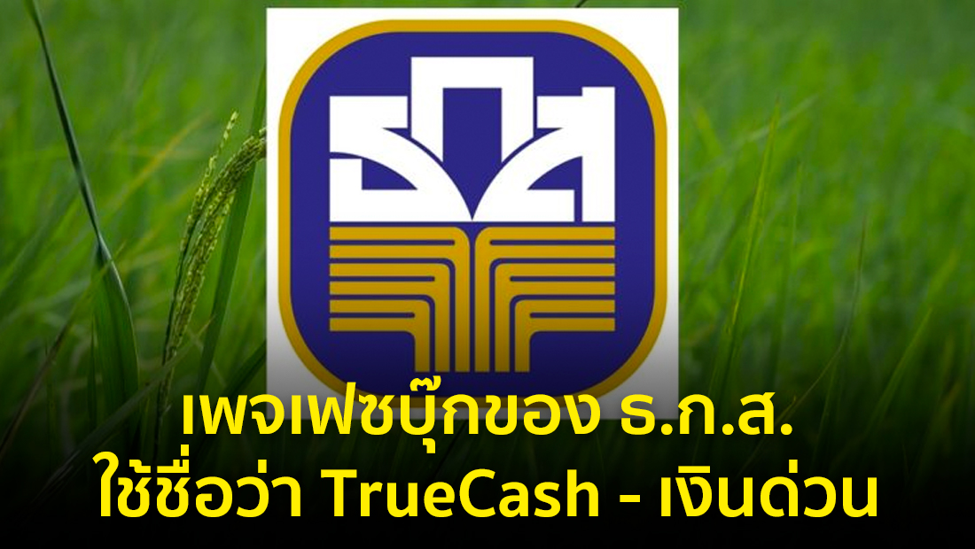 Website เปลียนรูป 13