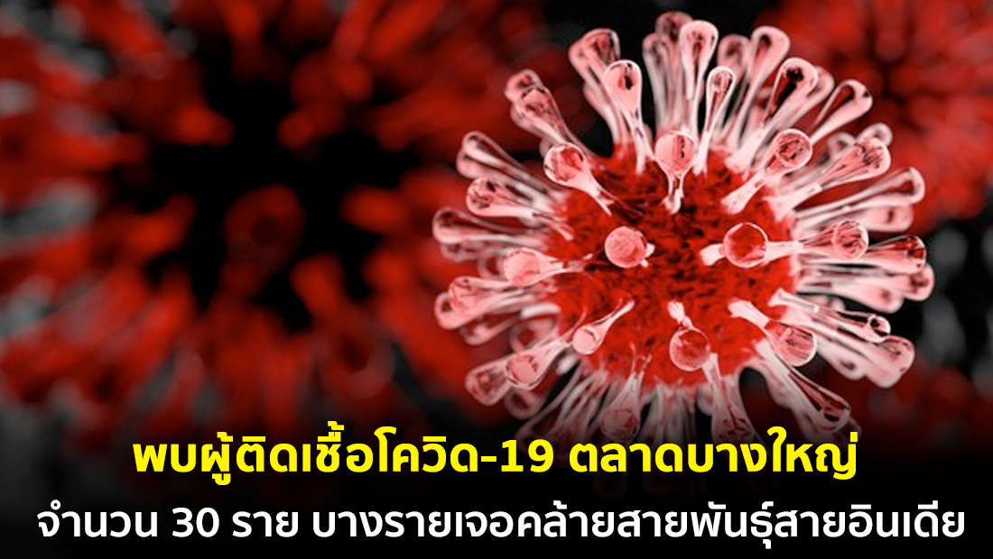 Website เปลียนรูป 67