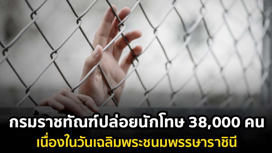 Website เปลียนรูป 80