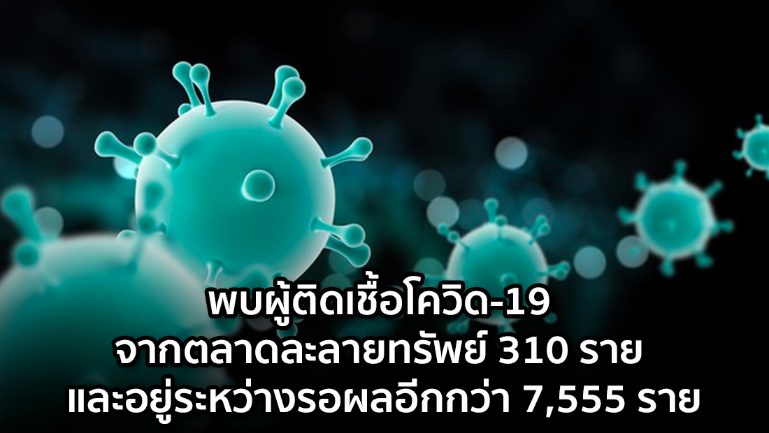 Website เปลียนรูป 31