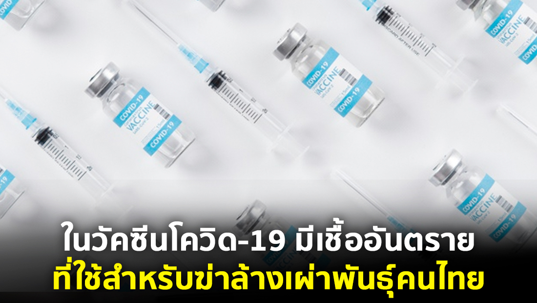 Website เปลียนรูป 43