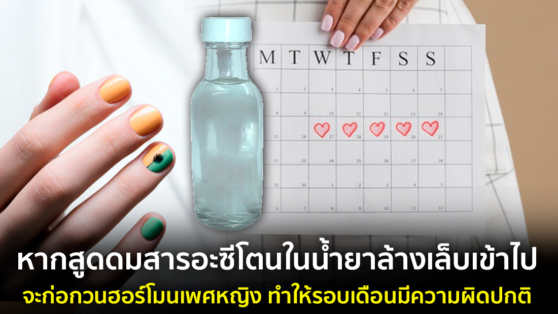 Website เปลียนรูป 56