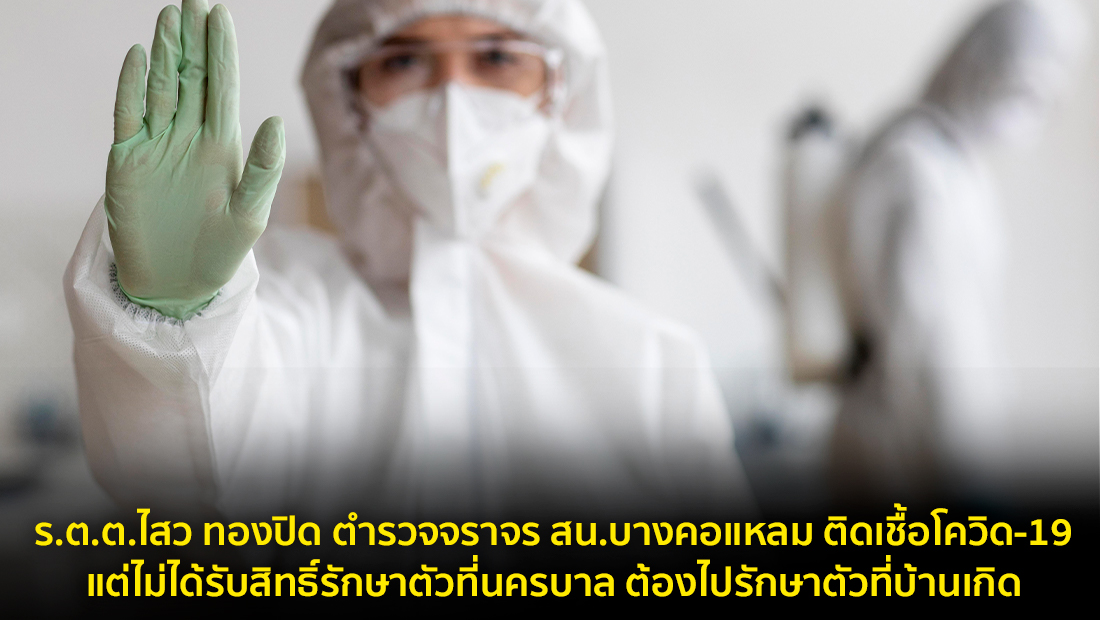 Website เปลียนรูป 53