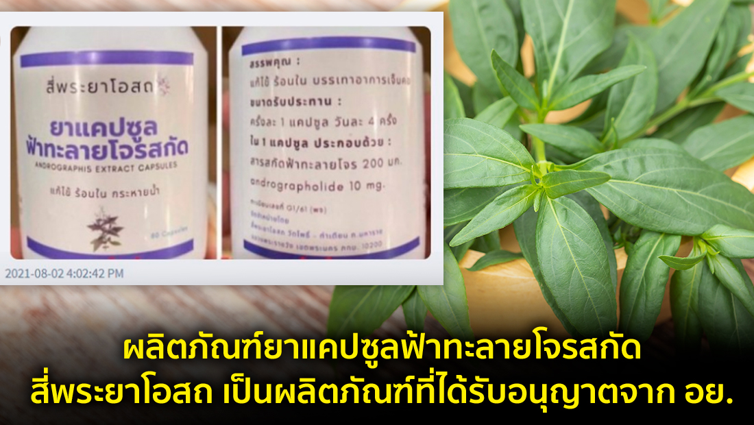 Website เปลียนรูป 11