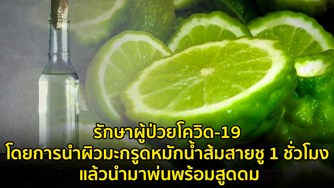 Website เปลียนรูป 45