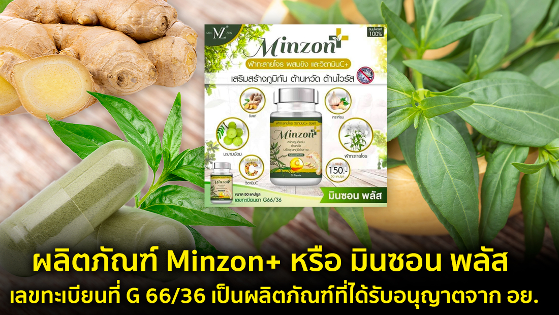 Website เปลียนรูป 50